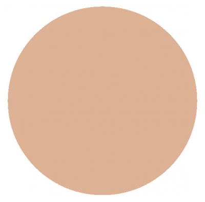 Clinique Stay Matte Poudre Transparente Haute Matité 6 g