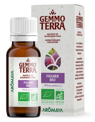 Gemmo Terra Figuier Bio 30 ml