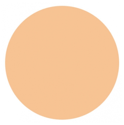 Covermark Poudre Compacte 10 g - Teinte : 1A