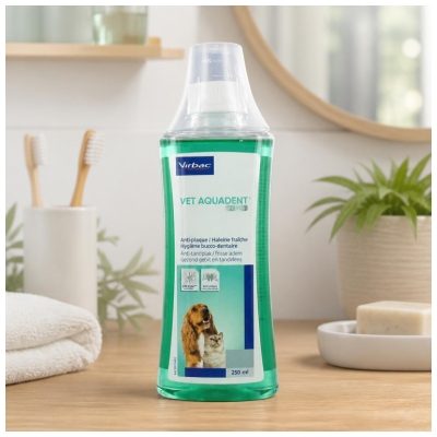 Virbac Vêt Aquadent Ct/Cn Fr3Sh Fl/250 ml