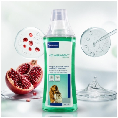 Virbac Vêt Aquadent Ct/Cn Fr3Sh Fl/250 ml