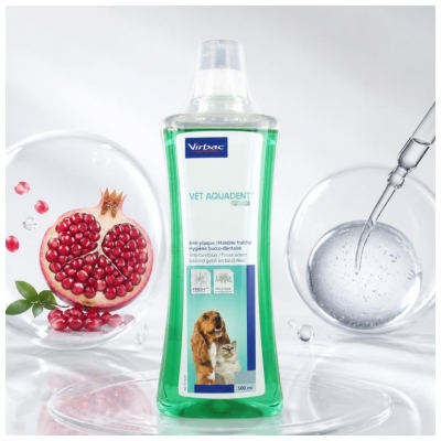 Virbac Vêt Aquadent Ct/Cn Fr3Sh Fl/500 ml
