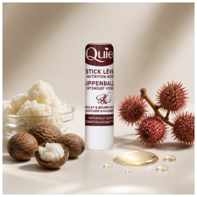 Quies Sticks Lèvres Avocat Karité - Étui 1 Unité
