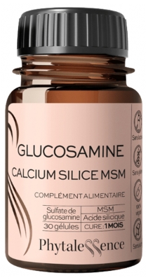 Phytalessence Glucosamine Calcium Silice Msm