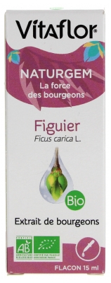 Vitaflor Extrait de Bourgeon - Figuier Bio - 15 ml