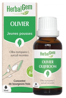 Herbalgem Olivier Bio Macérats-Mères de Gemmothérapie Concentrée Mémoire et Concentration 15 ml
