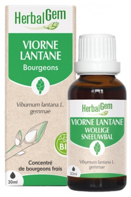 Herbalgem Viorne Bio Macérats-Mères de Gemmothérapie Concentrée 30 ml