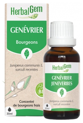 Herbalgem Genévrier Bio Macérats-Mères de Gemmothérapie Concentrée 30 ml