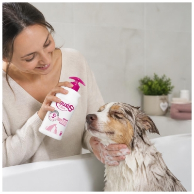 Douxo S3 Calm Shampooing Apaisant Peau Irritée Démangeaisons Chiens et Chats 500 ml