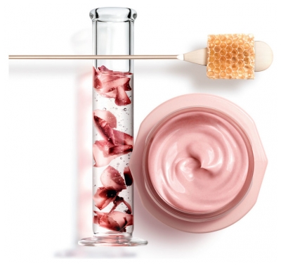 Vichy Neovadiol Rose Platinium Crème Rose Fortifiante Revitalisante Jour 50 ml
