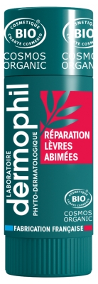 Dermophil Certifié Bio Stick Lèvres Réparation Lèvres Abîmées 4 g (Anc. Réparation Forte)