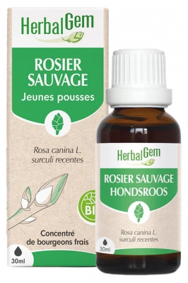 HerbalGem Rosier Sauvage Jeunes Pousses Bio 30 ml