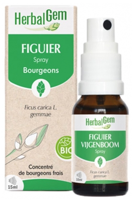 HerbalGem Figuier (Bourgeons) Spray Bio 15 ml