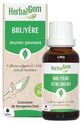 Herbalgem Bruyère Bio Macérats-Mères de Gemmothérapie Concentrée 30 ml