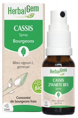 HerbalGem Cassis Spray Bourgeons (Ribes nigrum L.) Bio 15 ml