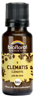 Biofloral 09 Clematis Clématite Granules Bio 19,5 g