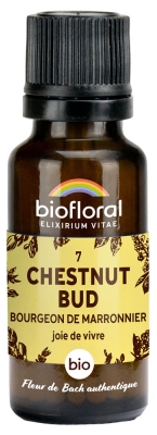 Biofloral 07 Chestnut Bud Bourgeons Marronnier Bio 19,5 g