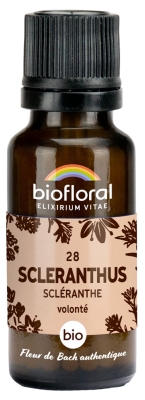 Biofloral 28 Scleranthus Scléranthe Granules Bio 19,5 g