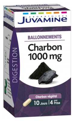 Juvamine Charbon 1000 mg Ballonnements 40 Gélules