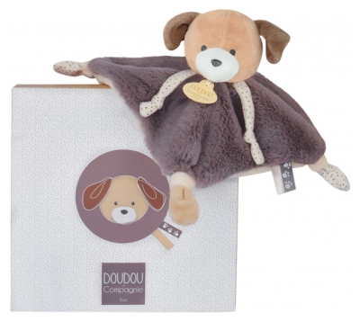 Doudou et Compagnie Réglisse le Chien Doudou Carré (1 Doudou + 1 Boîte)