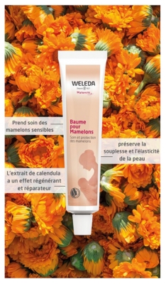 Weleda Baume Mamelons Format 25 ml