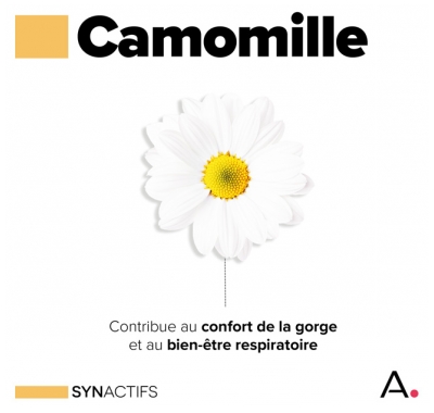 Synactifs Istaprotect® Bio - Respiration - Cassis Ortie Eucalyptus Camomille Huile Essentielle Camomille - 20 Gélules