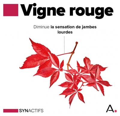 Synactifs Circactifs Circulation Jambes Lourdes 60 Gélules