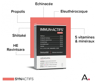 Synactifs Immunactifs® - Défense Immunitaire - Échinacea Vitamine C Propolis et Ravintsara - 30 Gélules