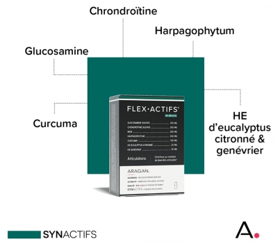 Aragan Flexactifs® - Bien-Être Articulaire - Glucosamine Harpagophytum Curcuma Eucalyptus et Zinc - 60 Gélules