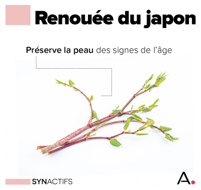Synactifs Dermactifs® - Anti-Âge Antioxydant Teint - Huile de Bourrache Rose Zinc Renouée du Japon - 30 Gélules