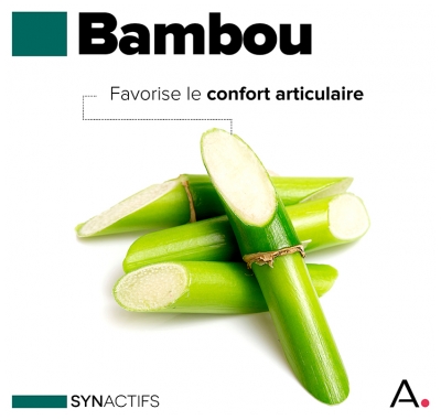 Aragan Synactifs FlexProtect 60 Gélules