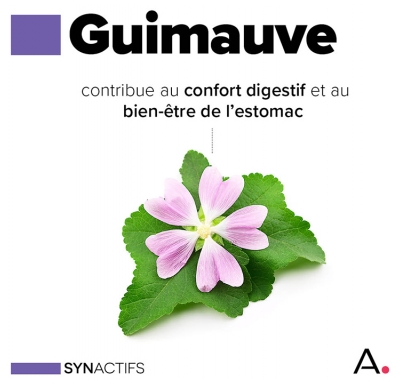Aragan Synactifs Stomaprotect Bio Confort Digestif 14 Comprimés