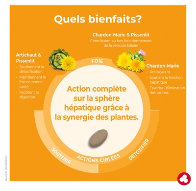 Ortis Depurfoie 60 Comprimés