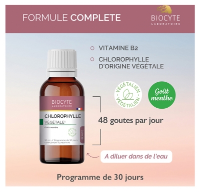 Biocyte Chlorophylle Végétale Goût Menthe 50 ml