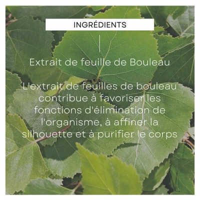 Weleda Huile de Massage Minceur au Bouleau - 100 ml