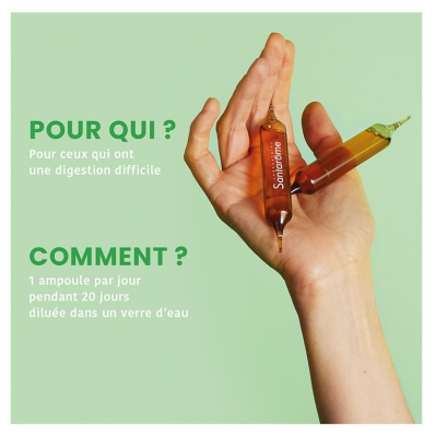 Santarome Artichaut Radis Noir Bio (20 Ampoules)