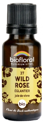 Biofloral 37 Wild Rose Églantier Bio 19,5 g
