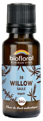 Biofloral 38 Willow Saule Bio 19,5 g