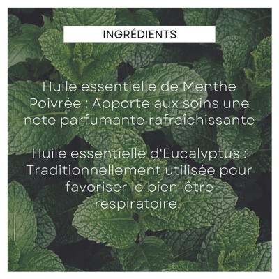 Weleda Déodorant Eucalyptus Peppermint Stick 50 g