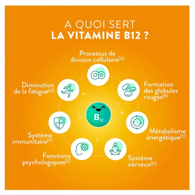 Nutri&Co Vitamine B12 Cerveau et Énergie 120 Gélules