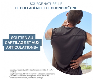 Orthonat Cartilage de Requin Complément Alimentaire 60 Gélules