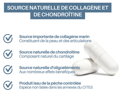 Orthonat Cartilage de Requin Complément Alimentaire 60 Gélules
