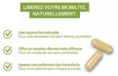 Orthonat Flexidine 300 Extrait Insaponifiable de Soja et d'Avocat 30 Gélules