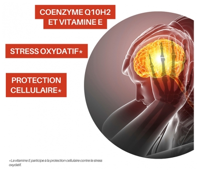 Orthonat Ubiquinol Q10 Protection Cellulaire Stress Oxydatif 30 Gélules