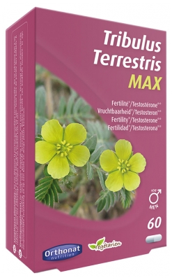 Orthonat Tribulus Terrestris Max Fertilité et Testostérone 60 Gélules