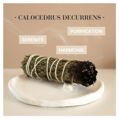Natura Square Cèdre Blanc de Californie Fagot