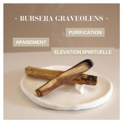 Natura Square Palo Santo du Pérou 4 Bâtons