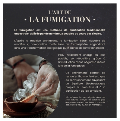 Natura Square Palo Santo du Pérou 4 Bâtons