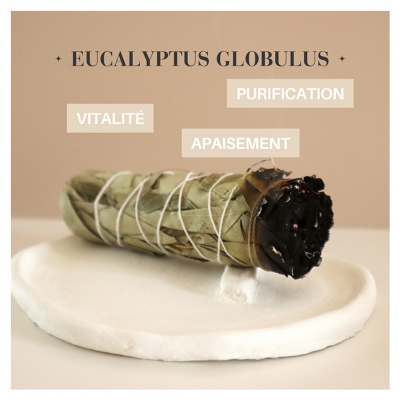 Natura Square Eucalyptus de Californie Fagot