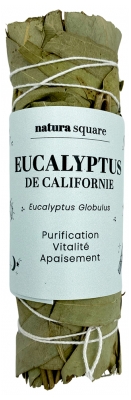 Natura Square Eucalyptus de Californie Fagot
